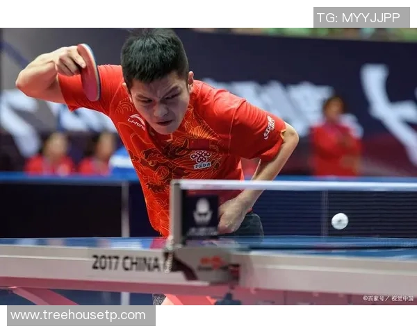 广州篮球队近期状态分析与表现评估大满贯点评