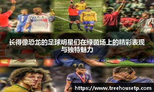 长得像恐龙的足球明星们在绿茵场上的精彩表现与独特魅力